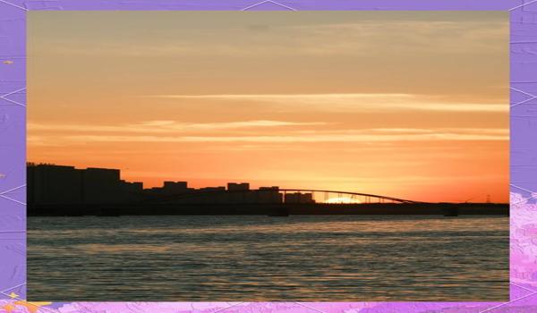 三角洲物资透视免费版下载（给我一个三角洲物资透视免费版下载链接）